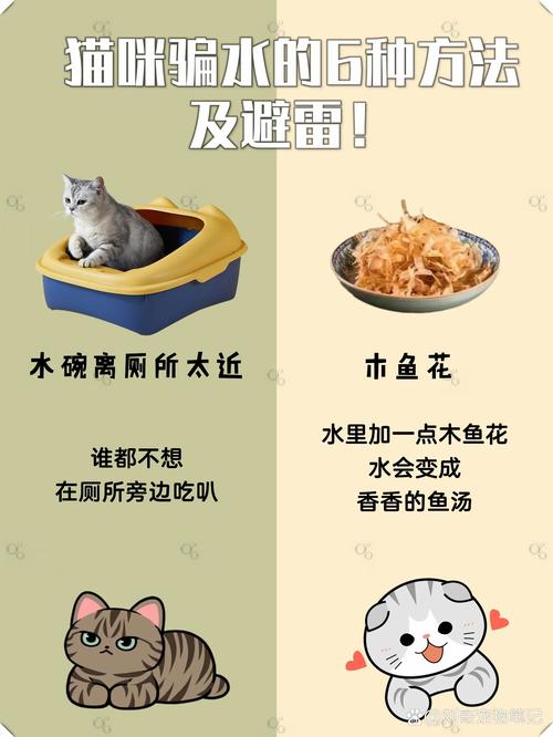 猫咪的饮水习惯，了解它们需要多少水