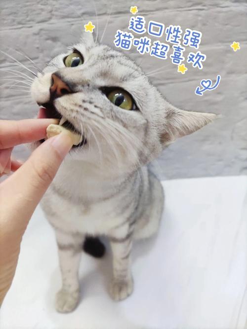 猫咪最爱的美食——鸡肉