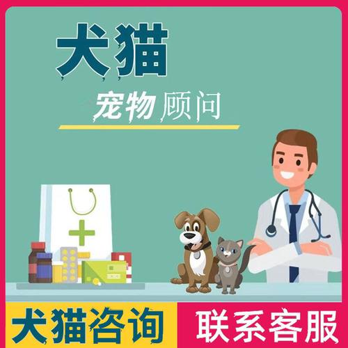 猫咪找房网，打造宠物友好型温馨家园