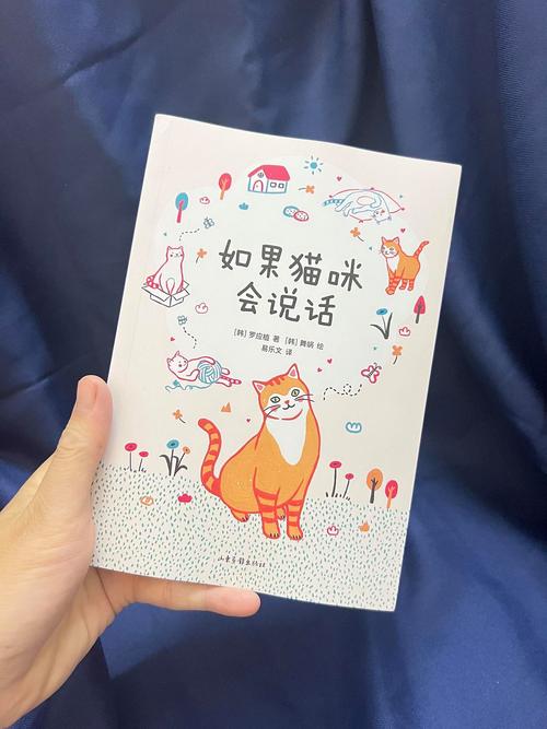 猫咪心思，解读毛茸茸世界的神秘语言