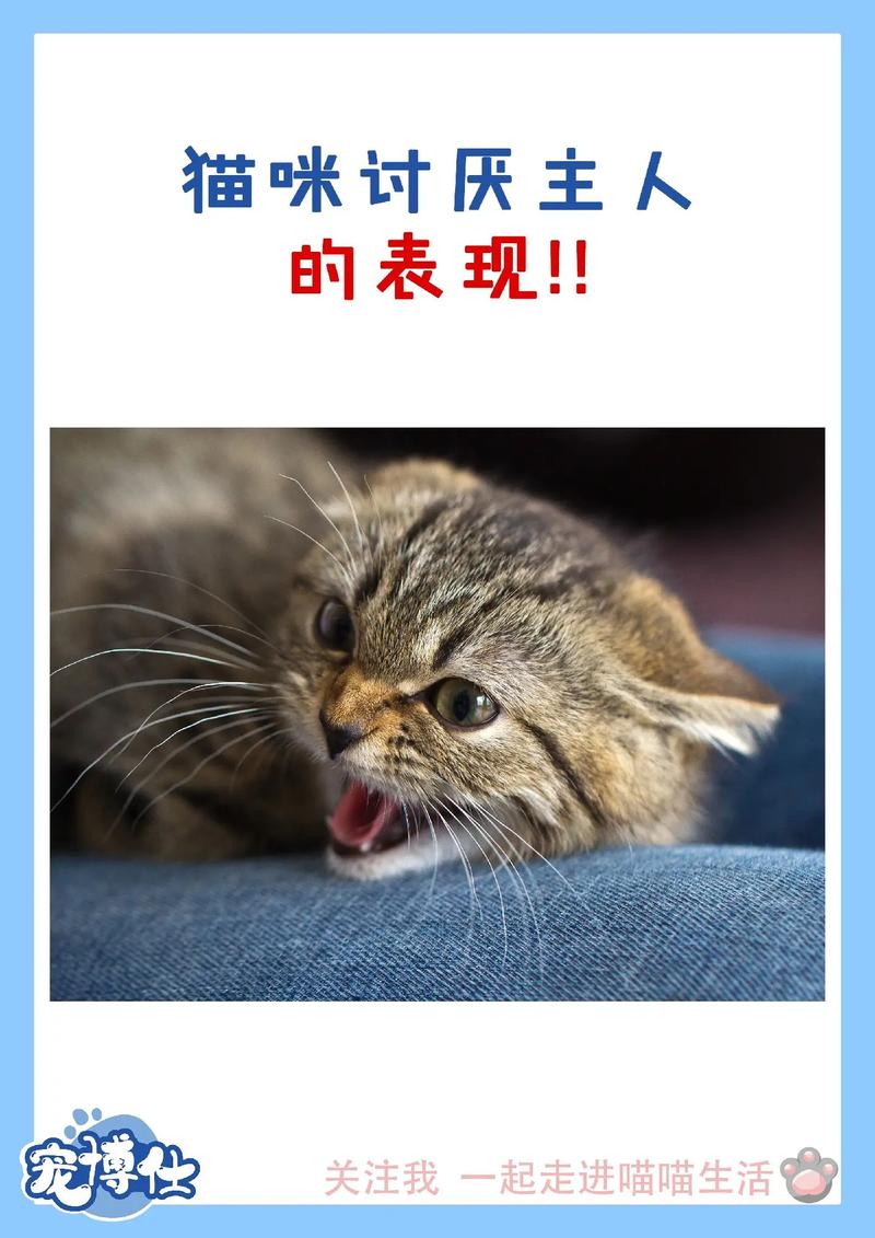 猫咪的智慧——从喵喵中窥探的自制世界