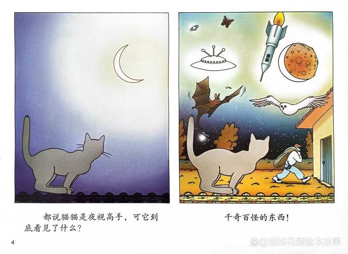 喵星人与煤球，一段温暖的猫咪故事