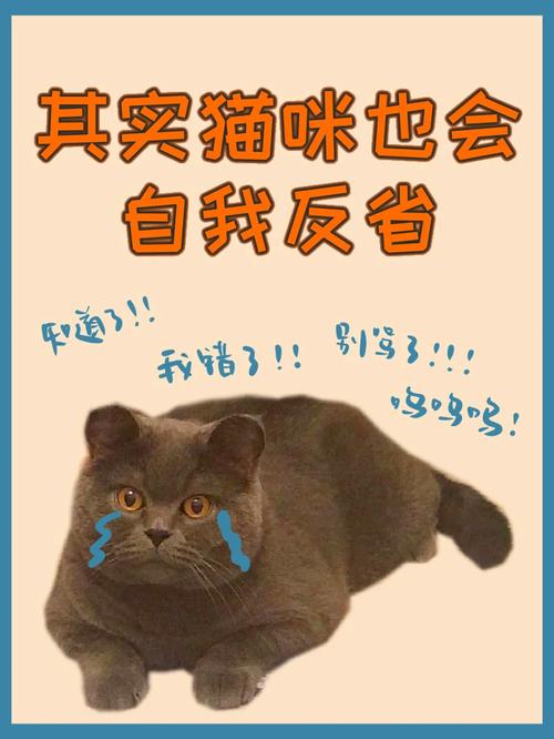 猫咪成瘾，人类为何会不自觉地吸食它们