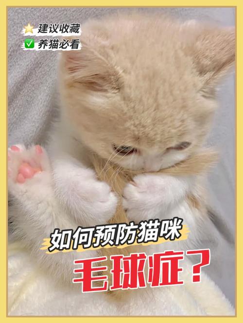 猫咪毛球症，如何让毛茸茸的小宝贝不再因为球而消瘦