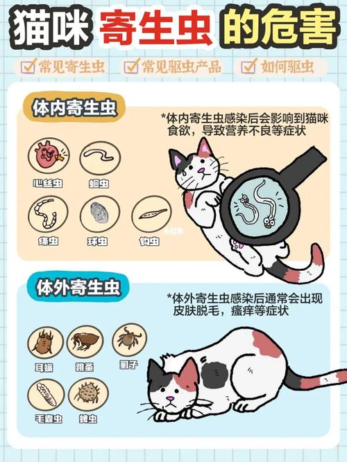 猫咪误食虫子，如何安全处理与预防