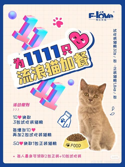 猫咪的四季故事——在卖猫咪店寻找生命中的温暖与希望