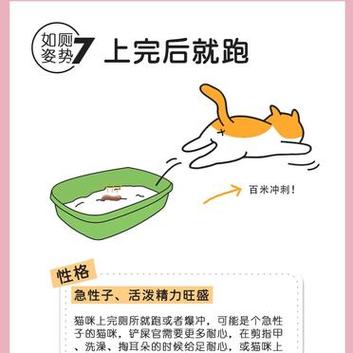 猫咪排便量减少？可能是饮食出了问题