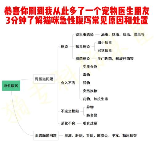 猫咪水样下痢，原因与应对策略