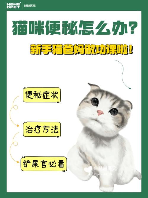 猫咪便秘，如何避免致命的健康危机