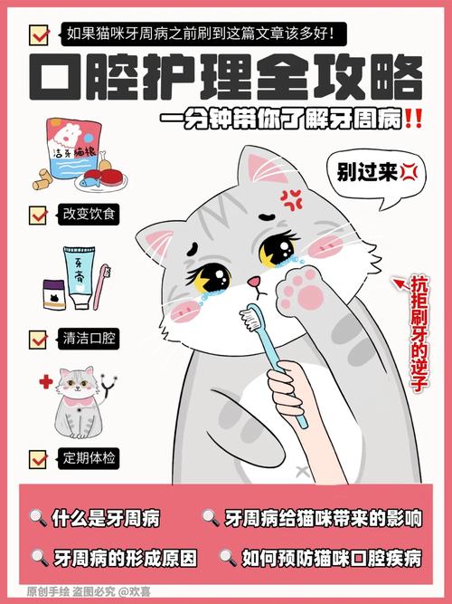 猫咪牙龈健康，预防与护理指南