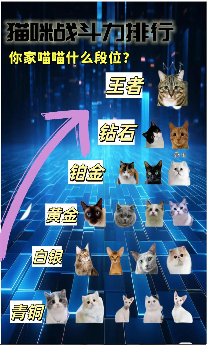 揭秘猫咪的小脑瓜——探究猫咪脑垂体的功能