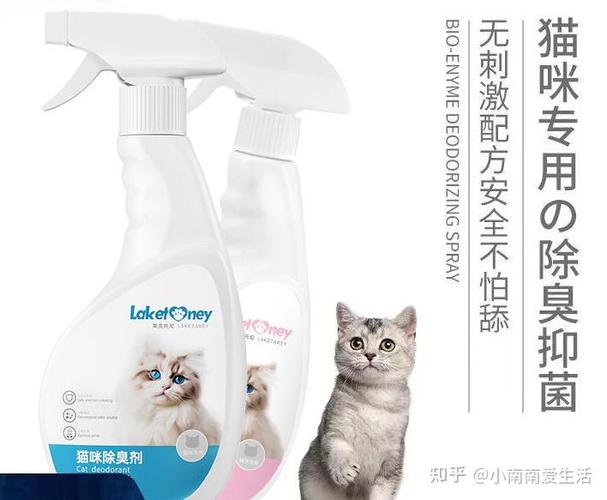 猫咪气味线，探索宠物友好型清洁产品的秘密