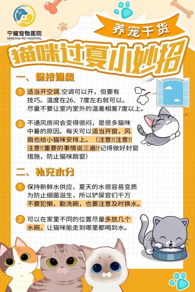 猫咪过夏小贴士，轻松度夏不中暑