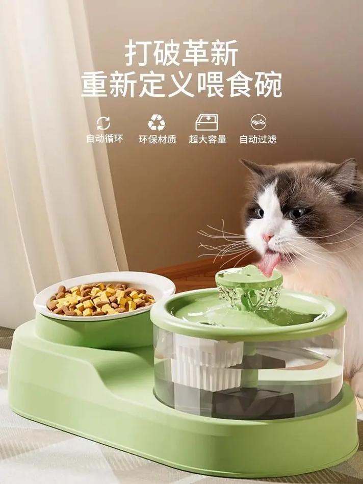 自制猫咪活水，为毛孩提供新鲜饮水的新方法