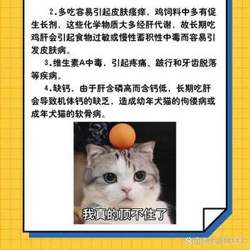 揭秘猫咪钟爱的营养佳品——鸡肝