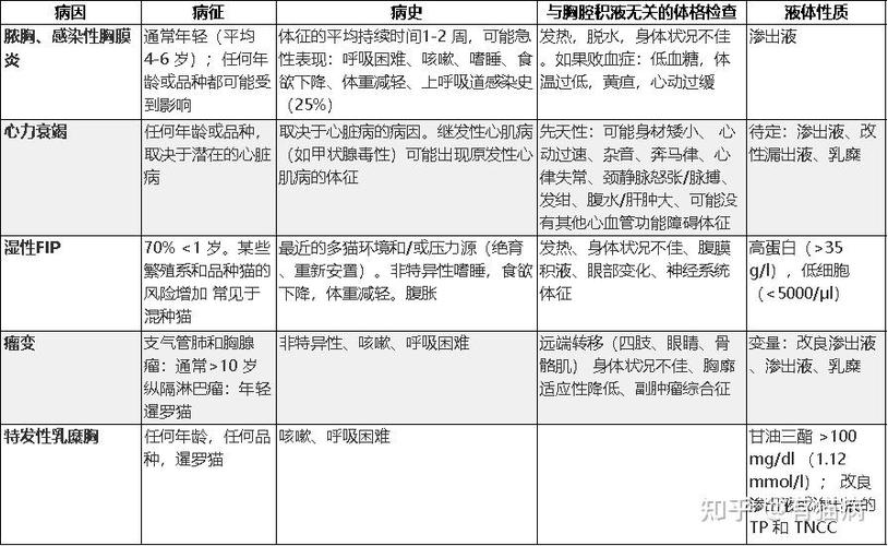 猫咪肝脏积水，症状、原因与预防