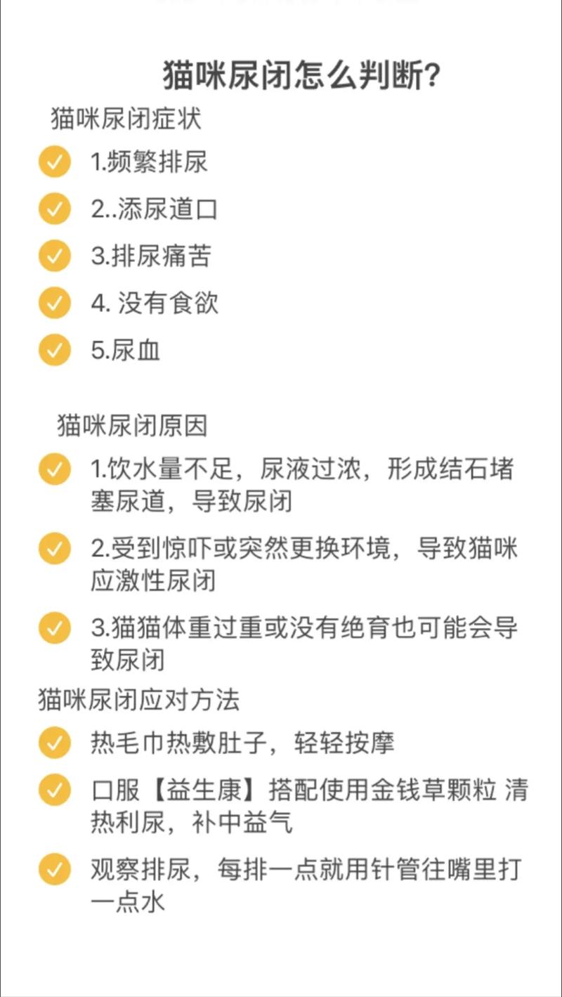 猫咪尿量减少？需警惕潜在健康隐患