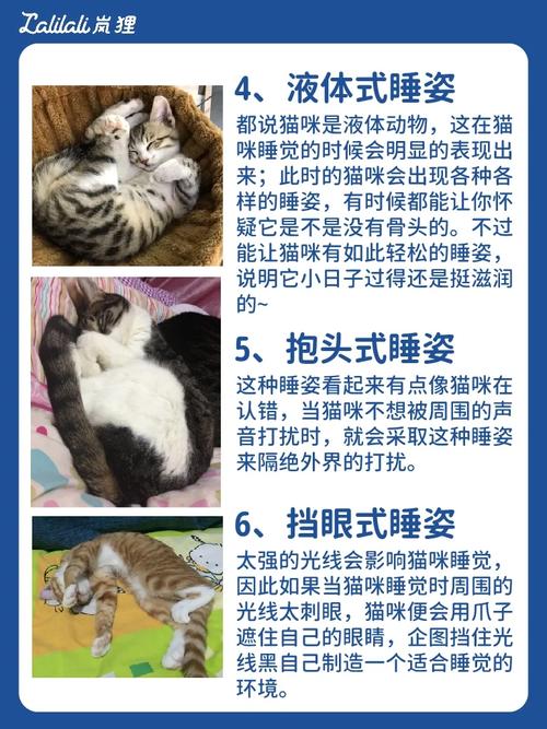 揭秘猫咪毛色的秘密，如何让它焕发生机