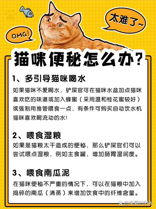 猫咪便秘？试试思密达——解决猫咪便秘问题的妙招