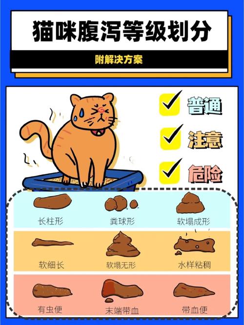 猫咪拉稀，如何正确应对输液治疗