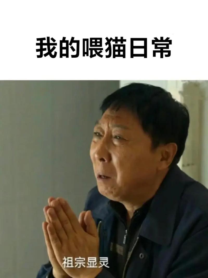 营养跟上，让您的猫咪活力四射