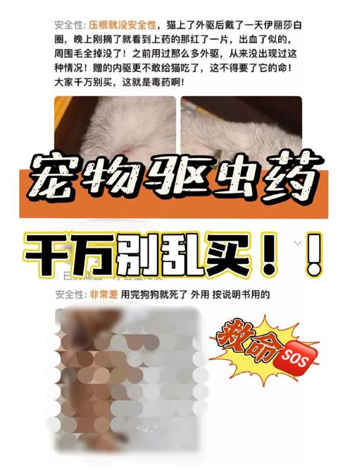 驱虫行动，揭秘猫咪吃下驱虫药后的奇妙变化