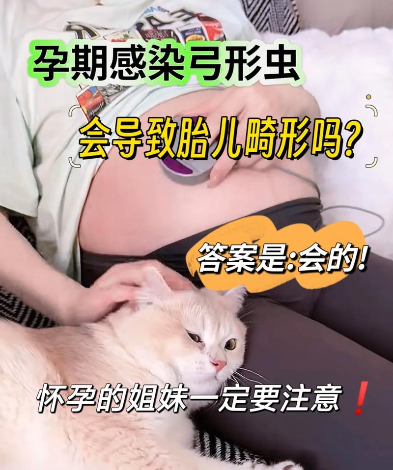 猫咪怀孕期间如何避免被吸虫感染