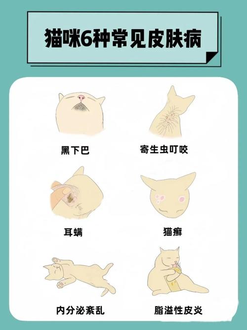 猫咪皮肤肿胀，常见症状及应对方法