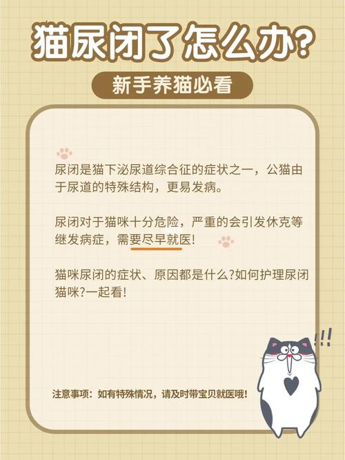 猫咪尿刺鼻，原因与解决方法