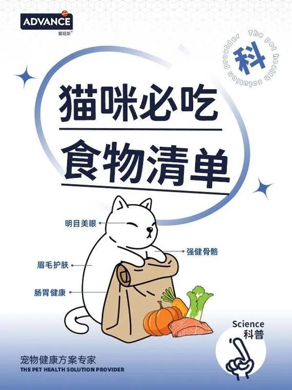 自制猫咪美食——科学营养的秘诀