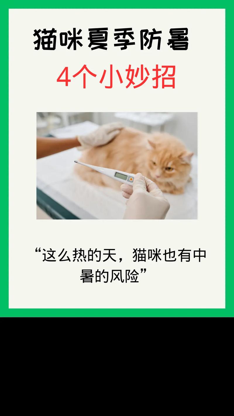 猫咪如何帮您败火——轻松应对夏季燥热