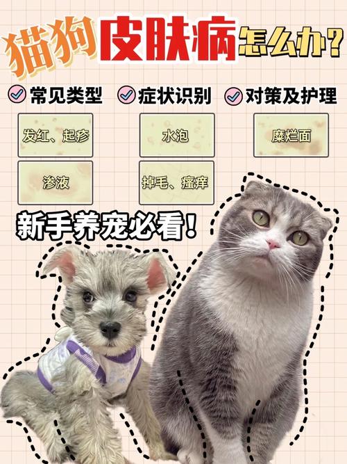 猫咪激素旺盛时期的常见表现与护理指南