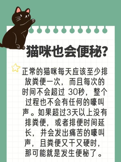 猫咪的纯净之源，解析正常猫咪尿液的秘密