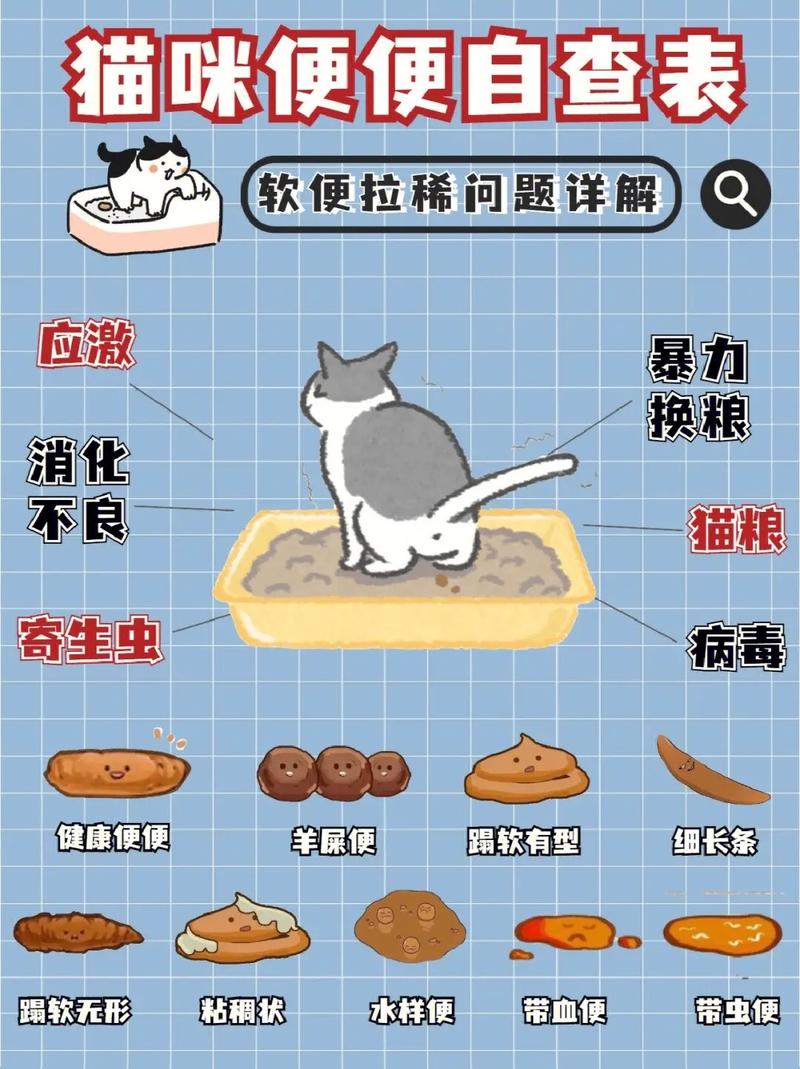 猫咪大便中的秘密，如何通过观察猫咪大便判断其健康状况