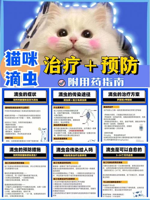 喵星失控记揭秘猫咪失禁背后的秘密