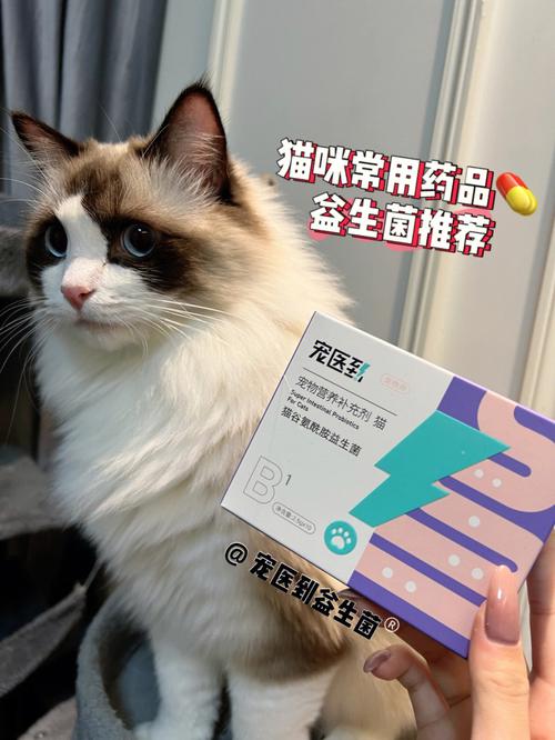 揭秘猫咪益生菌，色彩背后的神奇功效