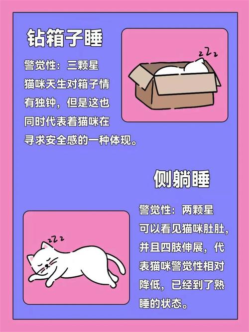 猫咪的防御本能