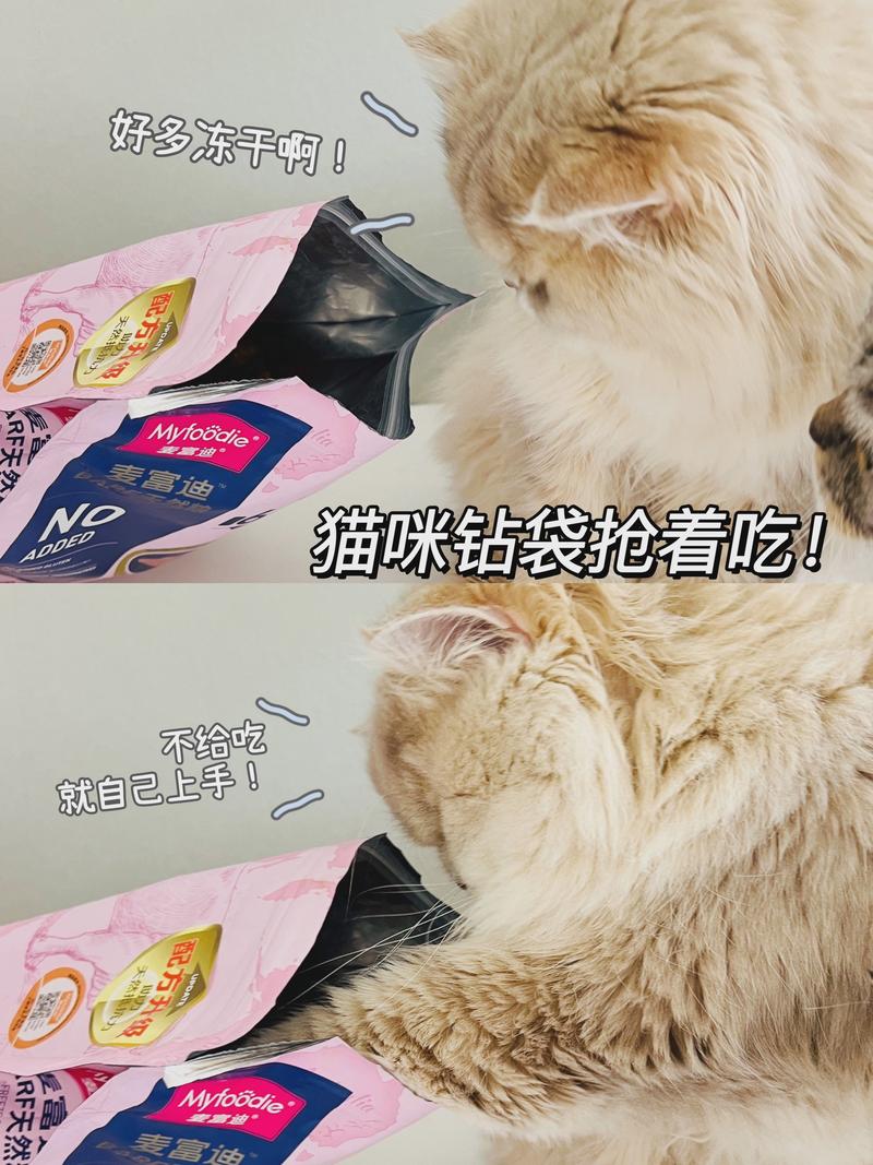 揭秘猫咪呕吐与食用鸡肝的关系