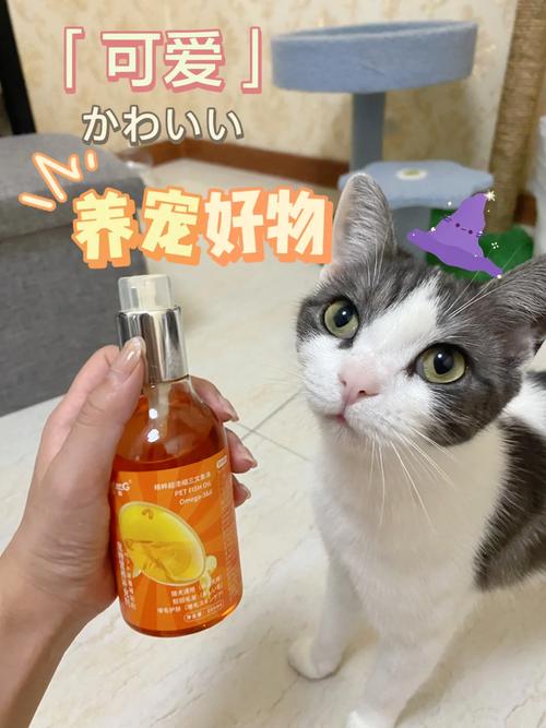 猫咪面部清洁，呵护毛孩子健康的小妙招