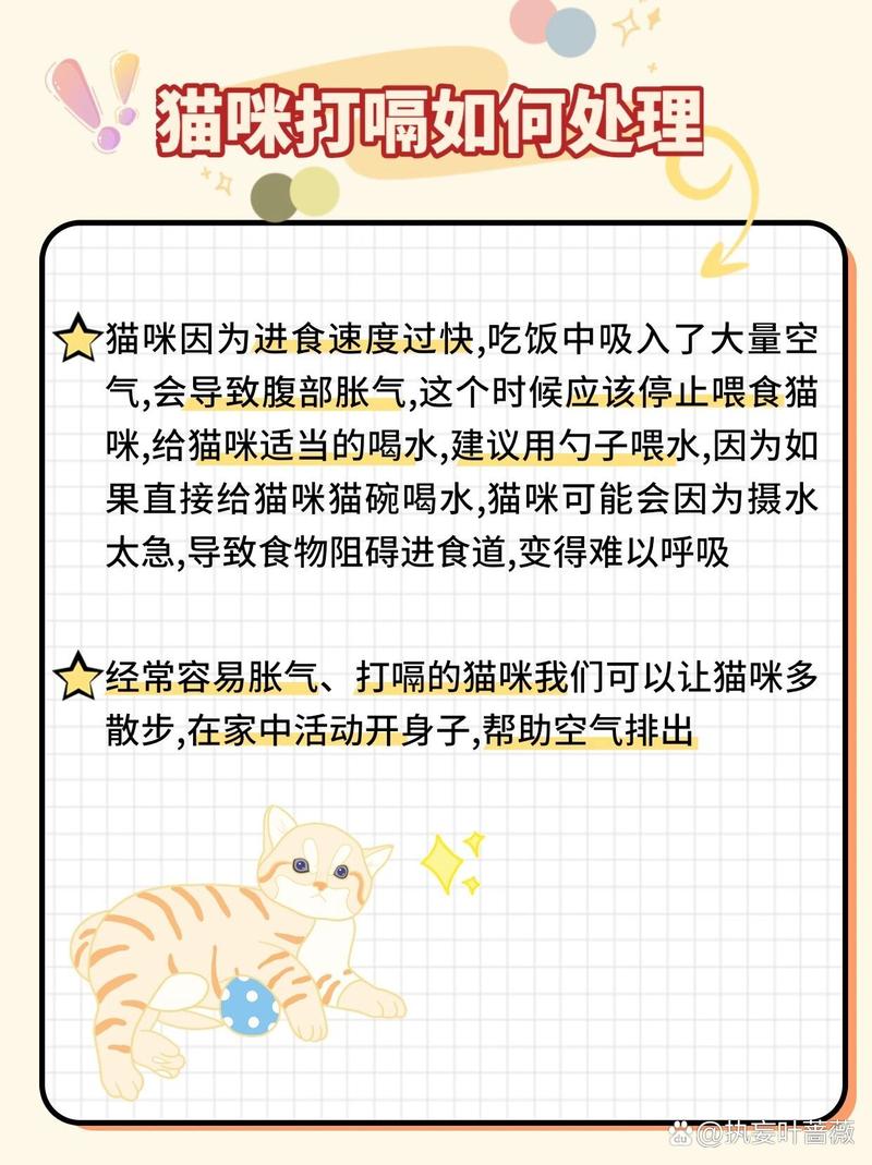 猫咪的打嗝小秘密