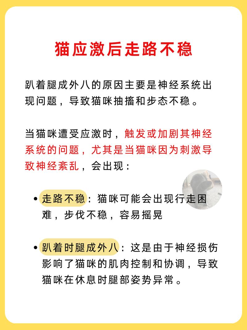 猫咪肌肉痉挛，了解症状与预防方法