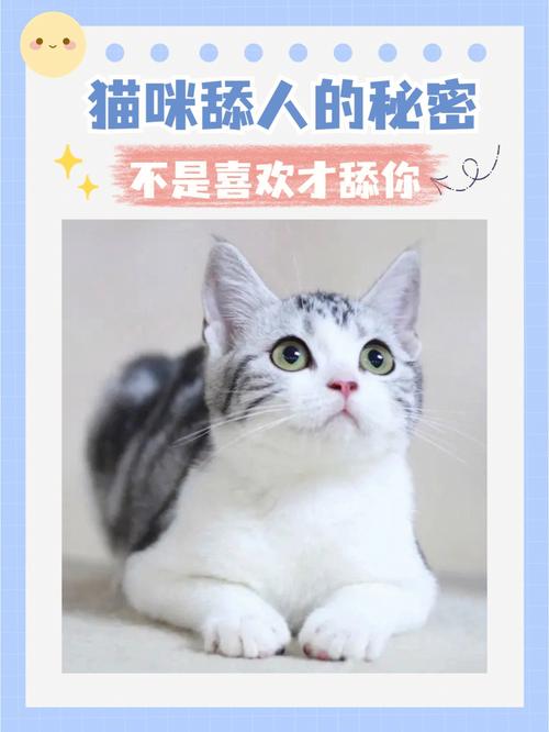 解开猫咪的秘密——为何要提猫咪的脖子？