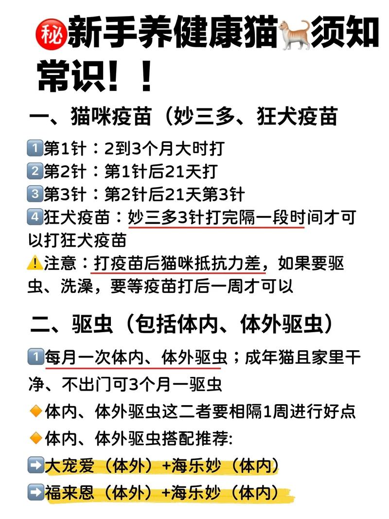 守护毛孩子健康，猫咪疫苗的重要性与正确接种