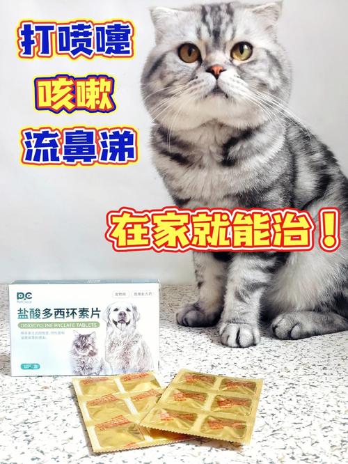 猫咪感冒时为何变得焦躁不安？