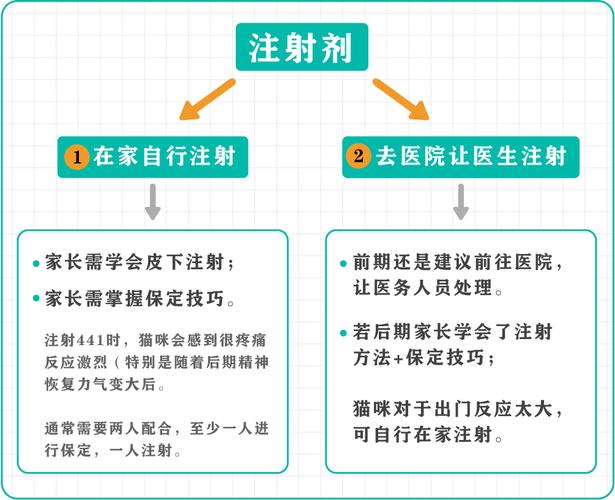 猫咪积液，了解病因与日常护理