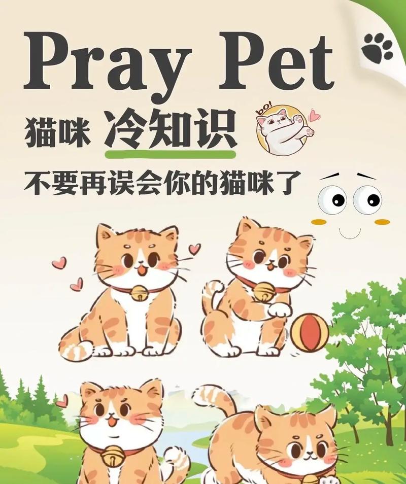 揭秘猫咪的体温秘密，温暖的秘密世界