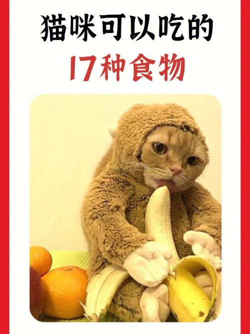 猫咪对食物的偏好，揭秘它们爱吃什么