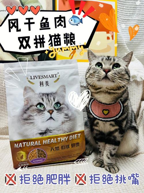 肥胖猫咪的减肥大作战，从科学饮食到规律运动