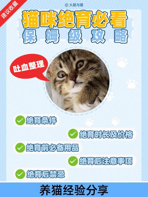 猫咪绝育，常熟的温馨行动