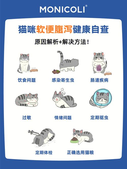 猫咪排泄健康，如何通过检查猫咪的粪便来了解其整体健康状况